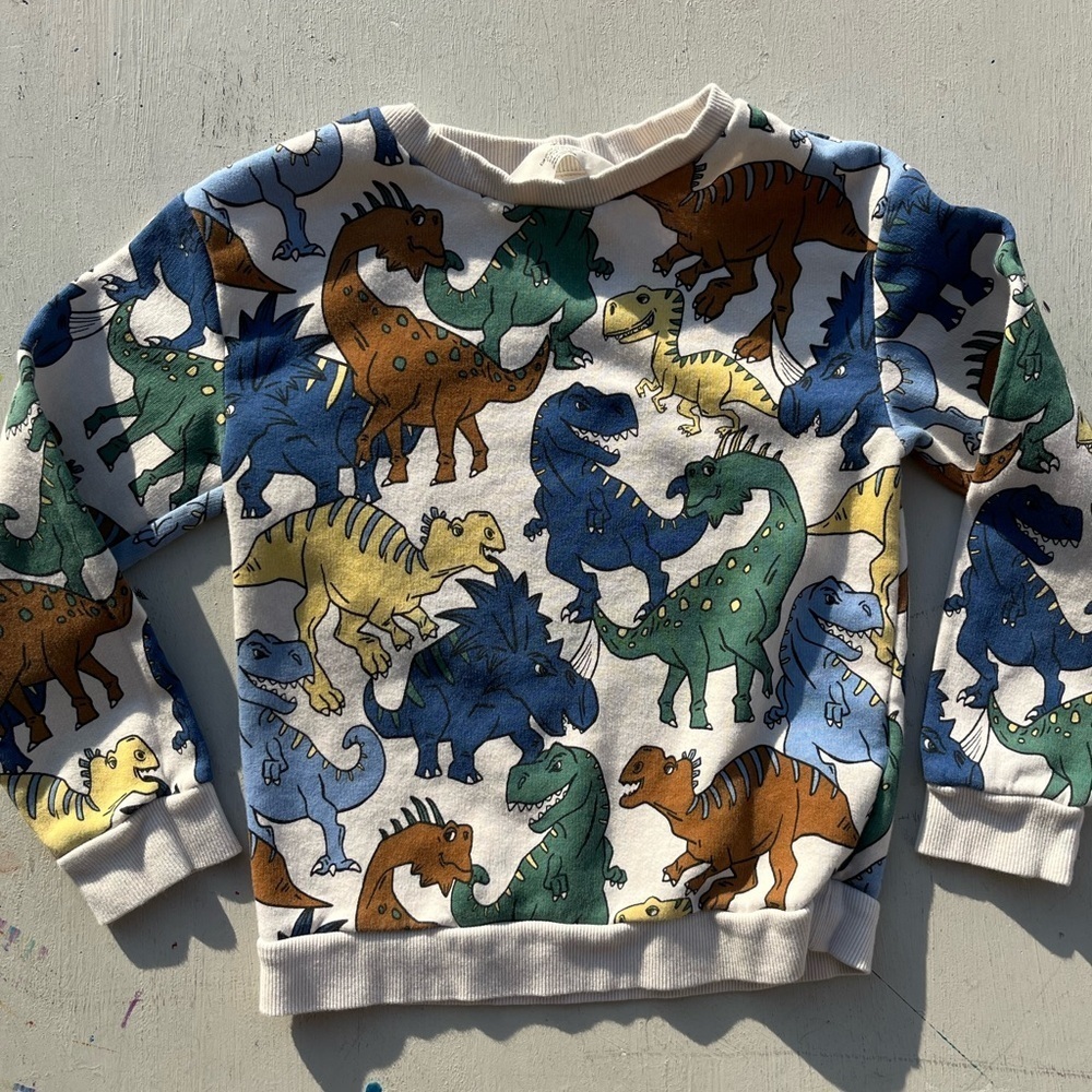 Kid's H&M Sweatshirt Multicolor Dinosaur Print 6X/7 Boy's Prehistoric Colorblock